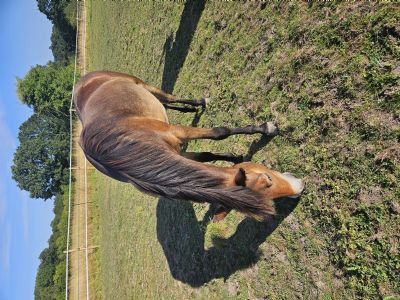 Customer Success Gallery - 